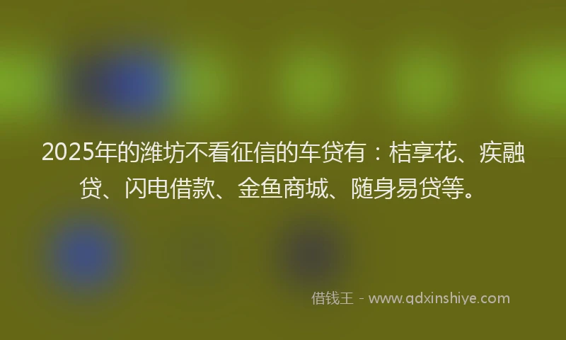 2025年的潍坊不看征信的车贷有：桔享花、疾融贷、闪电借款、金鱼商城、随身易贷等。