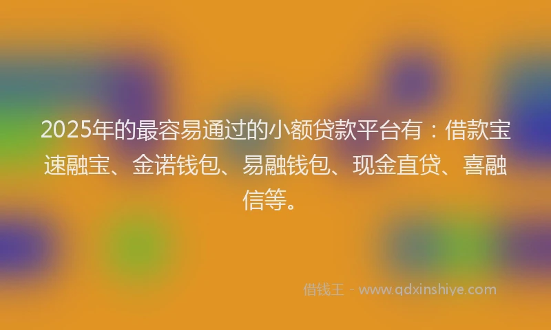 2025年的最容易通过的小额贷款平台有：借款宝速融宝、金诺钱包、易融钱包、现金直贷、喜融信等。
