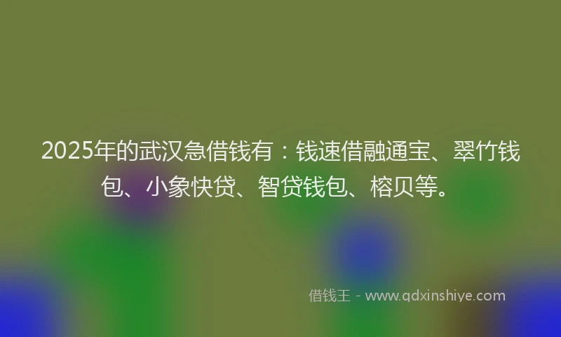 2025年的武汉急借钱有：钱速借融通宝、翠竹钱包、小象快贷、智贷钱包、榕贝等。