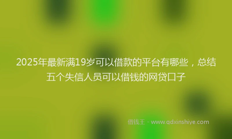2025年最新满19岁可以借款的平台有哪些，总结五个失信人员可以借钱的网贷口子