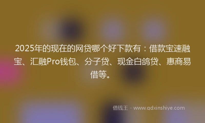 2025年的现在的网贷哪个好下款有：借款宝速融宝、汇融Pro钱包、分子贷、现金白鸽贷、惠商易借等。