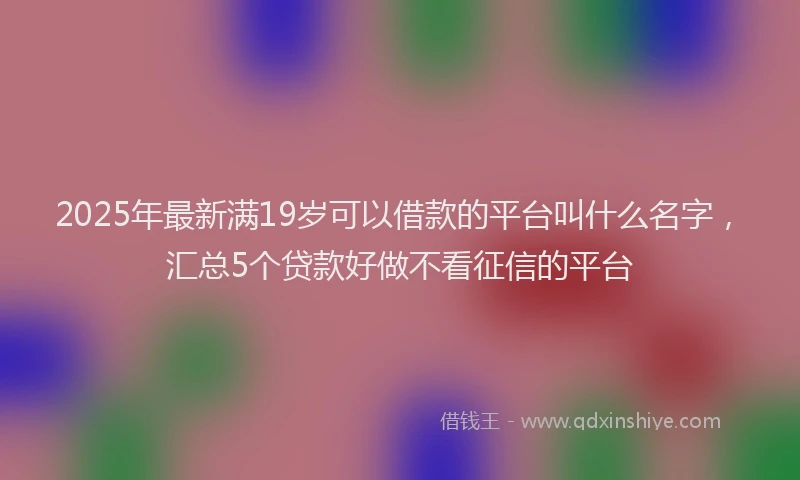 2025年最新满19岁可以借款的平台叫什么名字，汇总5个贷款好做不看征信的平台