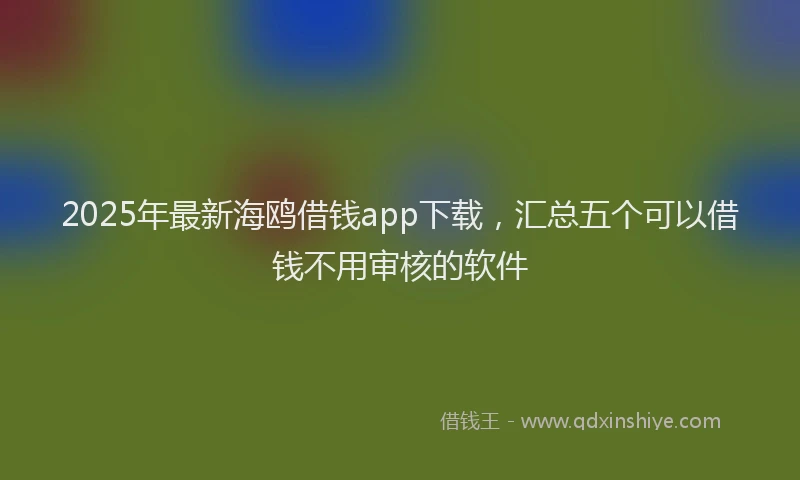 2025年最新海鸥借钱app下载，汇总五个可以借钱不用审核的软件