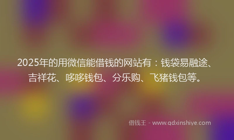2025年的用微信能借钱的网站有：钱袋易融途、吉祥花、哆哆钱包、分乐购、飞猪钱包等。