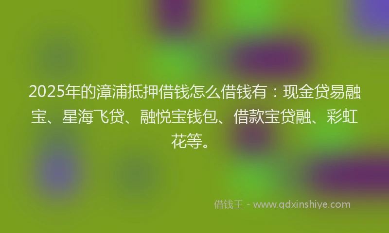 2025年的漳浦抵押借钱怎么借钱有：现金贷易融宝、星海飞贷、融悦宝钱包、借款宝贷融、彩虹花等。
