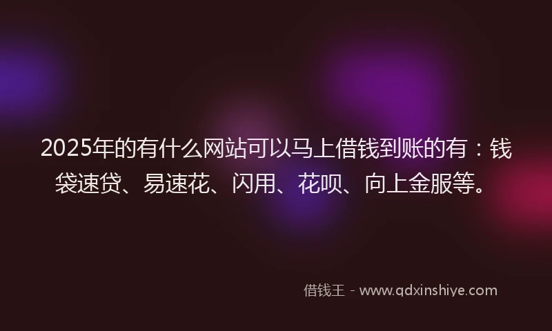 2025年的有什么网站可以马上借钱到账的有：钱袋速贷、易速花、闪用、花呗、向上金服等。