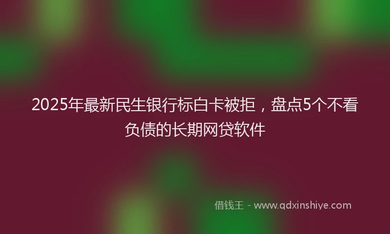 2025年最新民生银行标白卡被拒，盘点5个不看负债的长期网贷软件