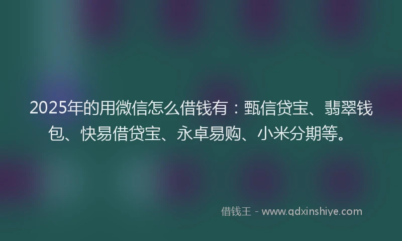 2025年的用微信怎么借钱有：甄信贷宝、翡翠钱包、快易借贷宝、永卓易购、小米分期等。