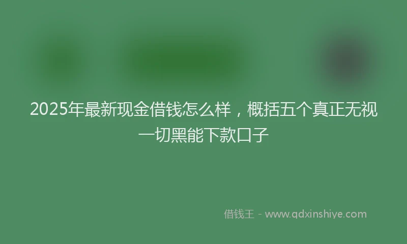 2025年最新现金借钱怎么样，概括五个真正无视一切黑能下款口子