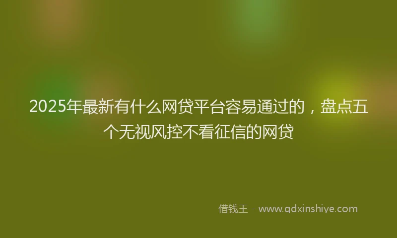 2025年最新有什么网贷平台容易通过的，盘点五个无视风控不看征信的网贷