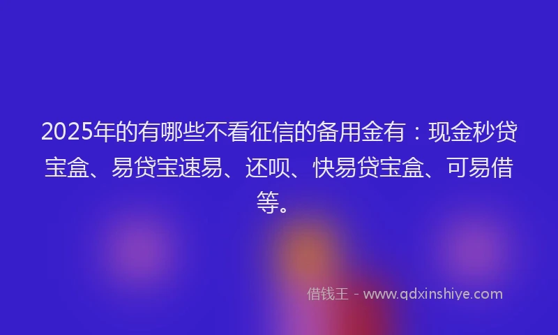 2025年的有哪些不看征信的备用金有：现金秒贷宝盒、易贷宝速易、还呗、快易贷宝盒、可易借等。