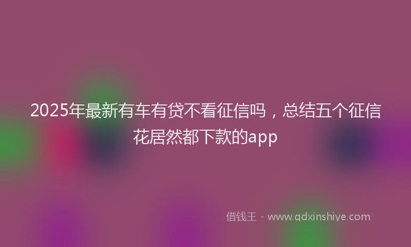 2025年最新有车有贷不看征信吗，总结五个征信花居然都下款的app