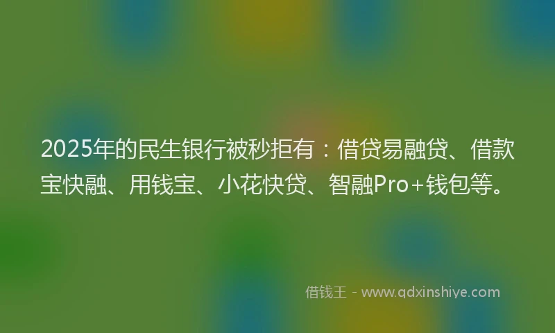 2025年的民生银行被秒拒有：借贷易融贷、借款宝快融、用钱宝、小花快贷、智融Pro+钱包等。