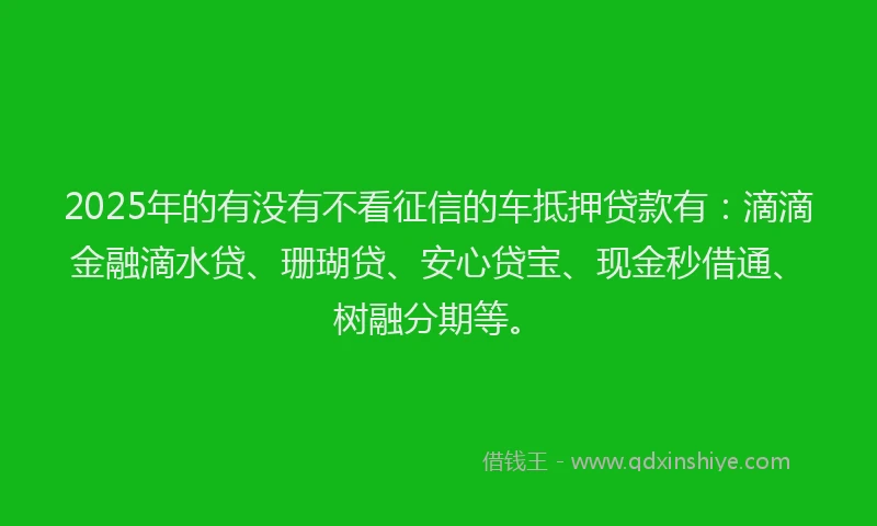 2025年的有没有不看征信的车抵押贷款有：滴滴金融滴水贷、珊瑚贷、安心贷宝、现金秒借通、树融分期等。