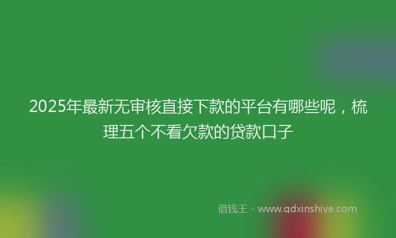 2025年最新无审核直接下款的平台有哪些呢，梳理五个不看欠款的贷款口子