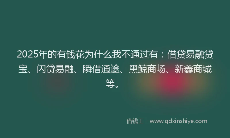 2025年的有钱花为什么我不通过有：借贷易融贷宝、闪贷易融、瞬借通途、黑鲸商场、新鑫商城等。