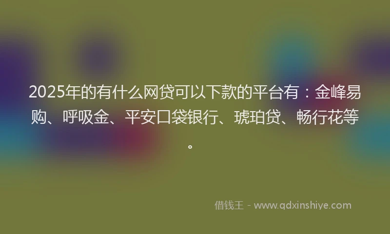 2025年的有什么网贷可以下款的平台有：金峰易购、呼吸金、平安口袋银行、琥珀贷、畅行花等。