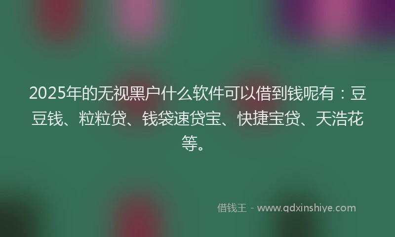 2025年的无视黑户什么软件可以借到钱呢有：豆豆钱、粒粒贷、钱袋速贷宝、快捷宝贷、天浩花等。