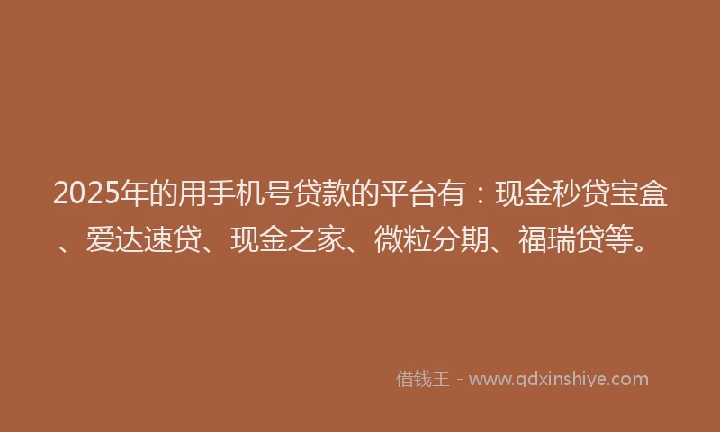 2025年的用手机号贷款的平台有：现金秒贷宝盒、爱达速贷、现金之家、微粒分期、福瑞贷等。