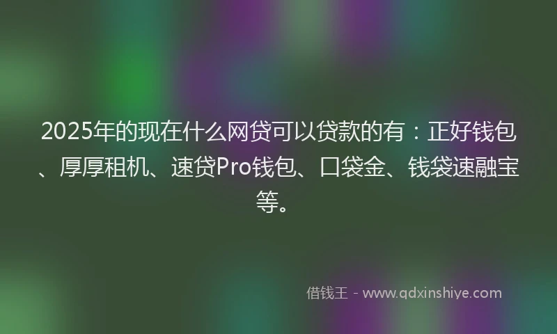 2025年的现在什么网贷可以贷款的有：正好钱包、厚厚租机、速贷Pro钱包、口袋金、钱袋速融宝等。