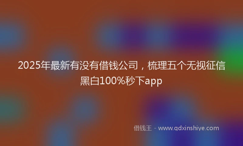 2025年最新有没有借钱公司，梳理五个无视征信黑白100%秒下app