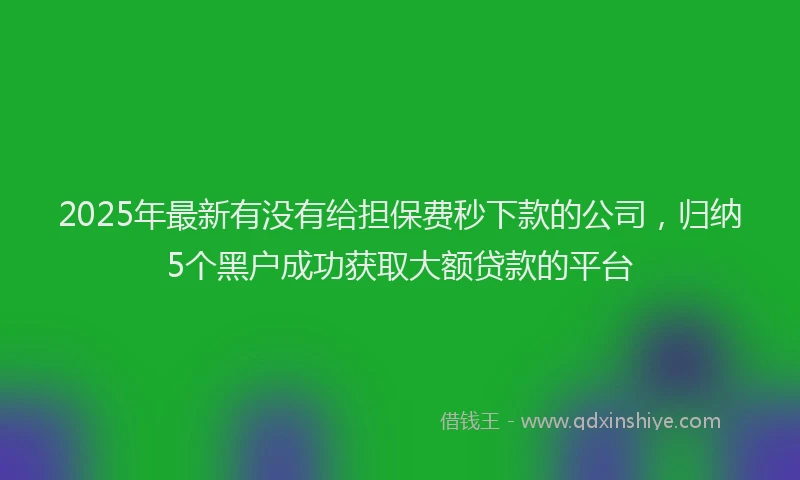 2025年最新有没有给担保费秒下款的公司，归纳5个黑户成功获取大额贷款的平台