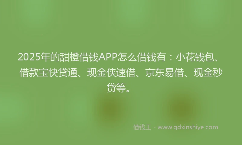 2025年的甜橙借钱APP怎么借钱有：小花钱包、借款宝快贷通、现金侠速借、京东易借、现金秒贷等。