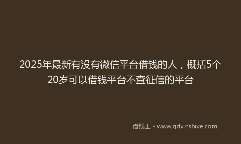 2025年最新有没有微信平台借钱的人，概括5个20岁可以借钱平台不查征信的平台