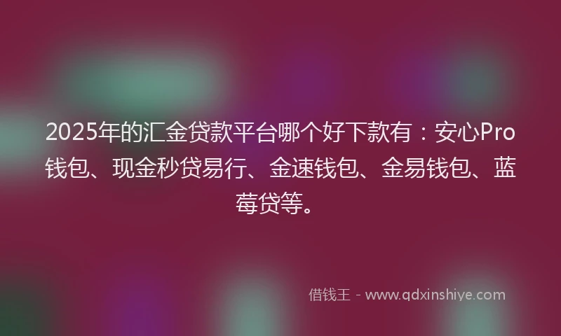 2025年的汇金贷款平台哪个好下款有：安心Pro钱包、现金秒贷易行、金速钱包、金易钱包、蓝莓贷等。