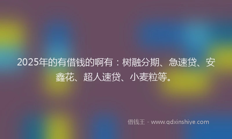 2025年的有借钱的啊有：树融分期、急速贷、安鑫花、超人速贷、小麦粒等。