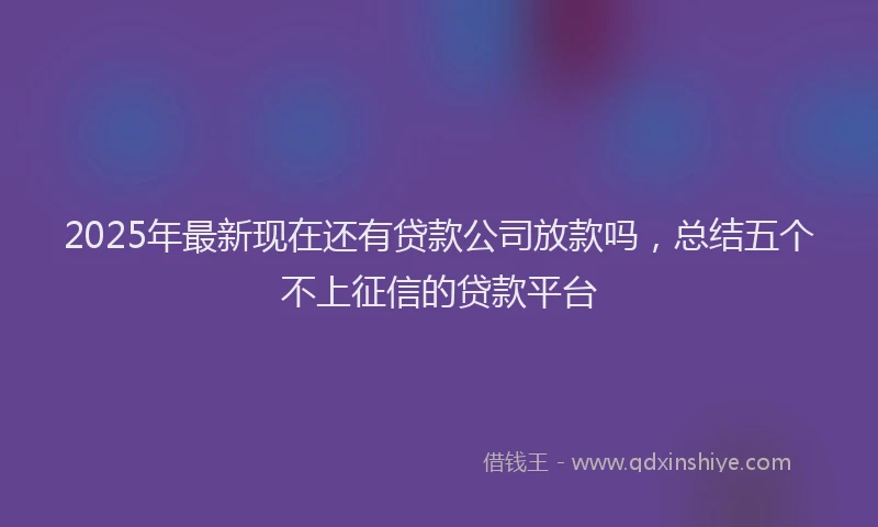 2025年最新现在还有贷款公司放款吗，总结五个不上征信的贷款平台