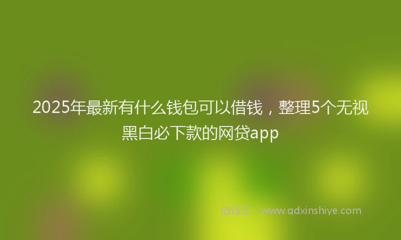 2025年最新有什么钱包可以借钱，整理5个无视黑白必下款的网贷app