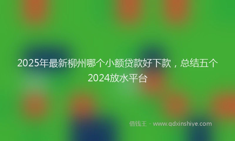 2025年最新柳州哪个小额贷款好下款，总结五个2024放水平台