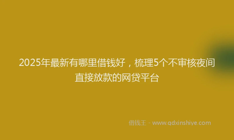 2025年最新有哪里借钱好，梳理5个不审核夜间直接放款的网贷平台