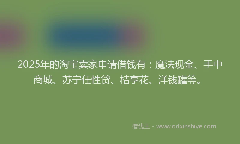 2025年的淘宝卖家申请借钱有：魔法现金、手中商城、苏宁任性贷、桔享花、洋钱罐等。