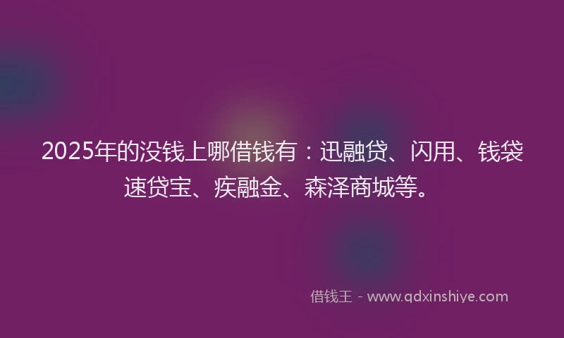 2025年的没钱上哪借钱有：迅融贷、闪用、钱袋速贷宝、疾融金、森泽商城等。