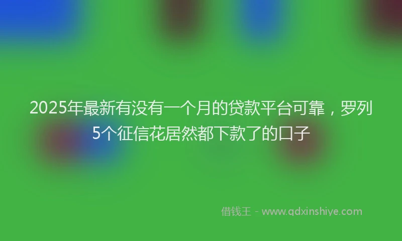 2025年最新有没有一个月的贷款平台可靠，罗列5个征信花居然都下款了的口子