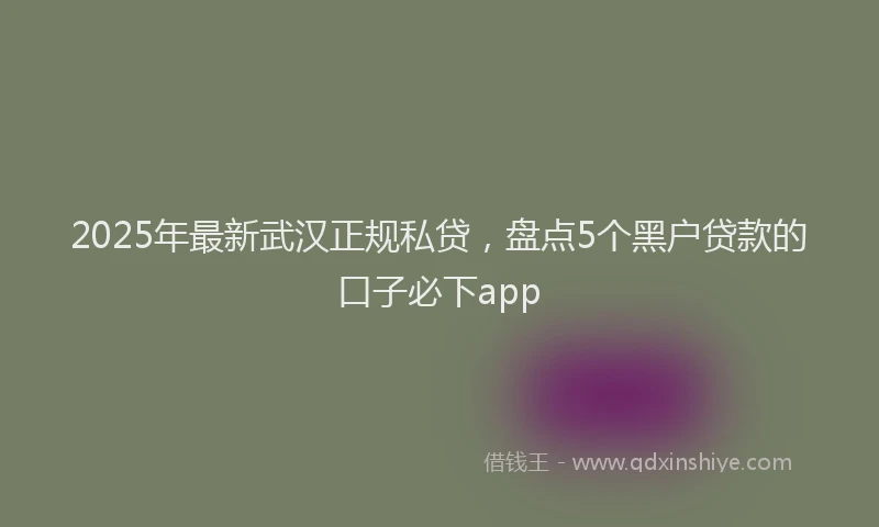 2025年最新武汉正规私贷，盘点5个黑户贷款的口子必下app