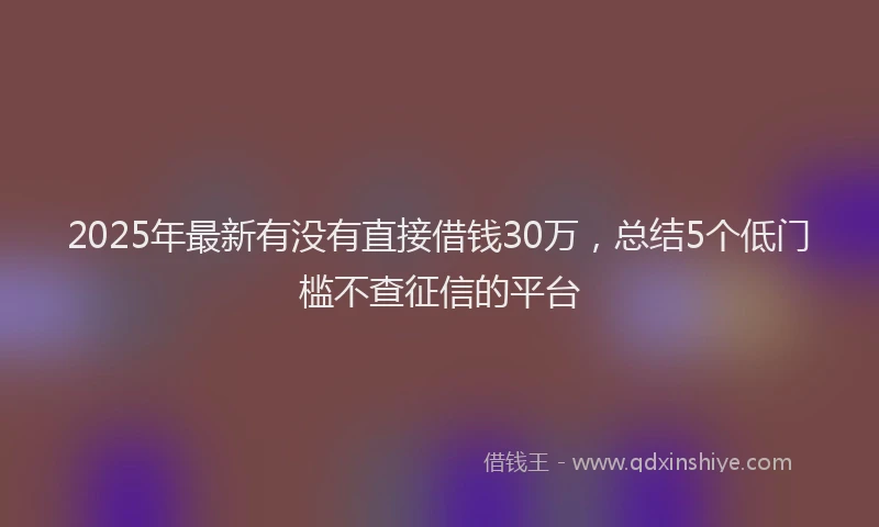 2025年最新有没有直接借钱30万，总结5个低门槛不查征信的平台