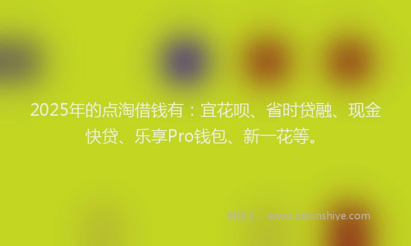 2025年的点淘借钱有：宜花呗、省时贷融、现金快贷、乐享Pro钱包、新一花等。