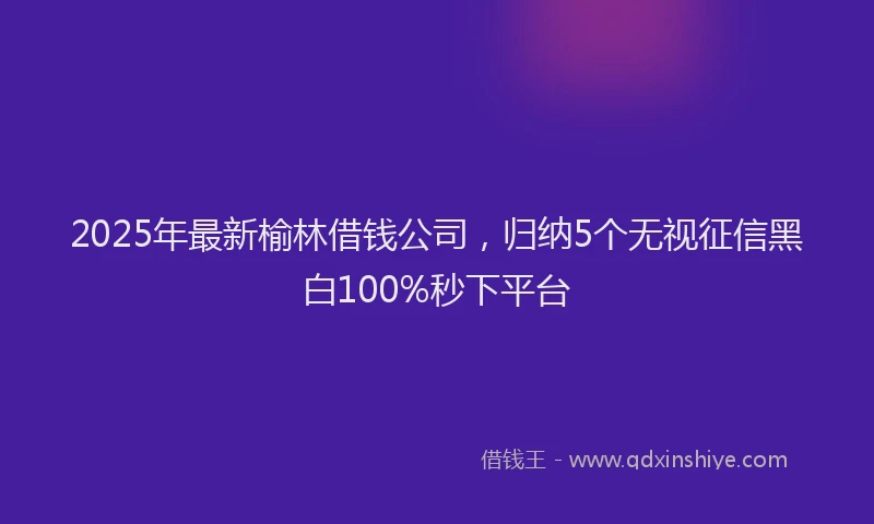 2025年最新榆林借钱公司，归纳5个无视征信黑白100%秒下平台