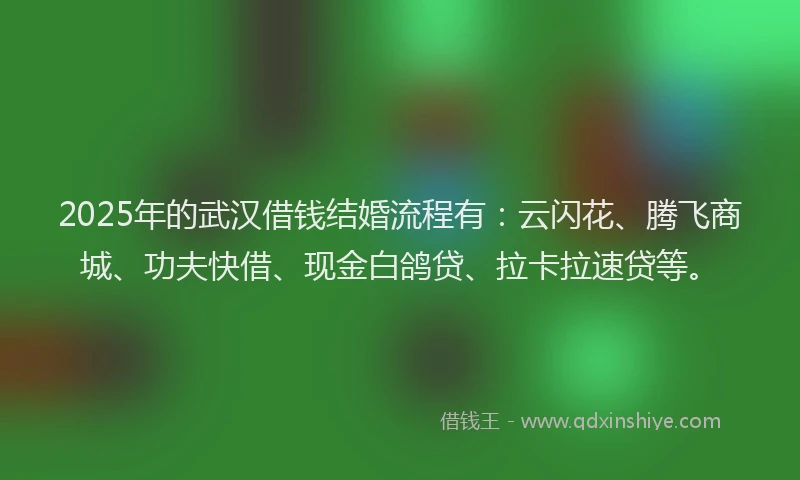 2025年的武汉借钱结婚流程有：云闪花、腾飞商城、功夫快借、现金白鸽贷、拉卡拉速贷等。