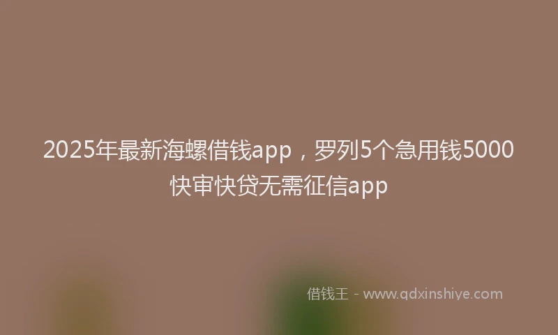 2025年最新海螺借钱app，罗列5个急用钱5000快审快贷无需征信app