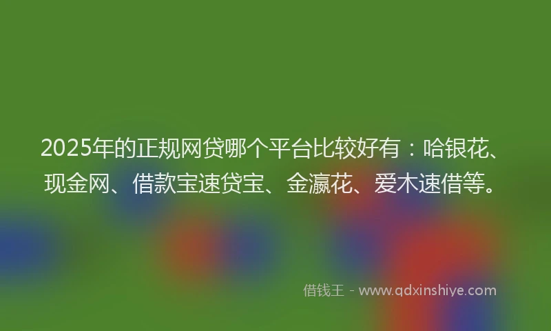 2025年的正规网贷哪个平台比较好有：哈银花、现金网、借款宝速贷宝、金瀛花、爱木速借等。