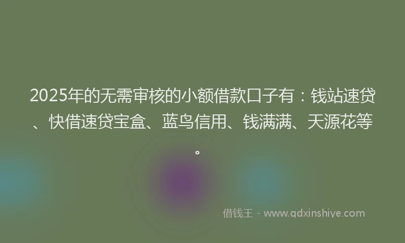 2025年的无需审核的小额借款口子有：钱站速贷、快借速贷宝盒、蓝鸟信用、钱满满、天源花等。