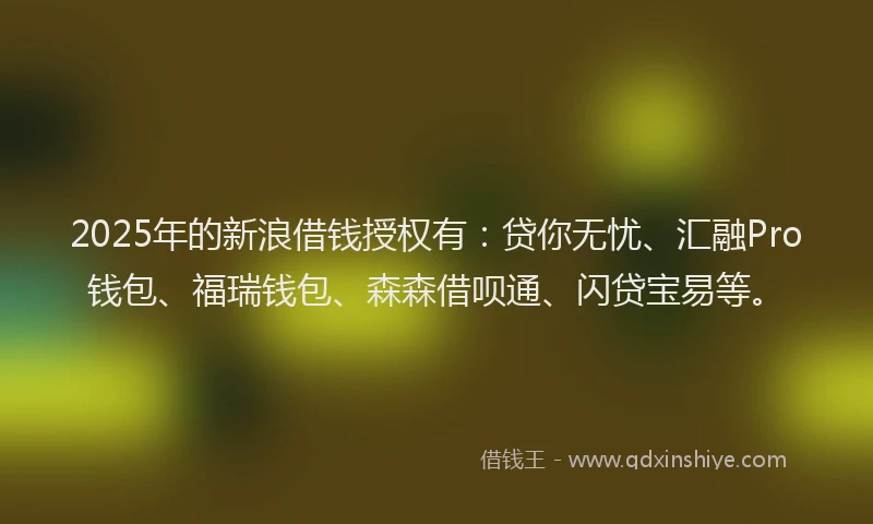 2025年的新浪借钱授权有：贷你无忧、汇融Pro钱包、福瑞钱包、森森借呗通、闪贷宝易等。