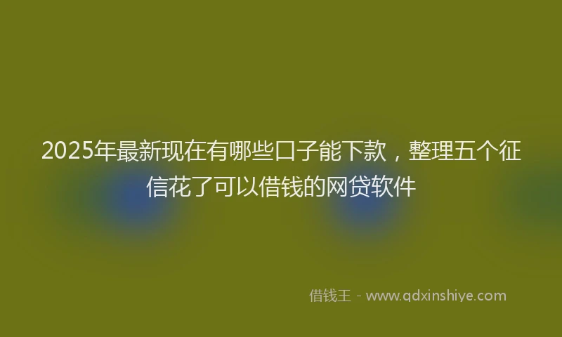 2025年最新现在有哪些口子能下款，整理五个征信花了可以借钱的网贷软件