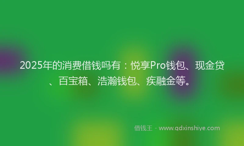 2025年的消费借钱吗有：悦享Pro钱包、现金贷、百宝箱、浩瀚钱包、疾融金等。