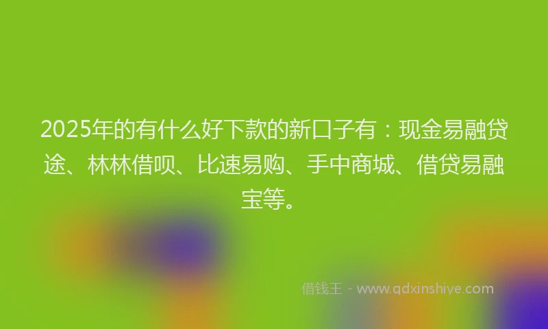 2025年的有什么好下款的新口子有：现金易融贷途、林林借呗、比速易购、手中商城、借贷易融宝等。