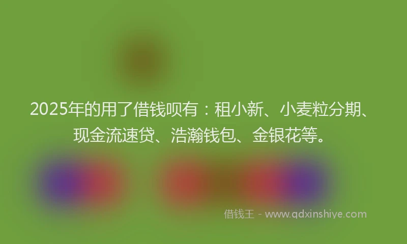 2025年的用了借钱呗有：租小新、小麦粒分期、现金流速贷、浩瀚钱包、金银花等。